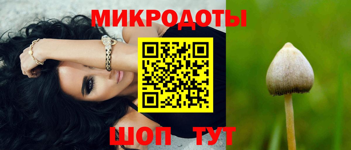 Кизляр  Псилоцибиновые грибы Psilocybine cubensis  Псилоцибиновые грибы Cubensis  Вход с VPN 